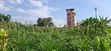 Prime 100x100 Plot for Sale - Lower Kabete - 4