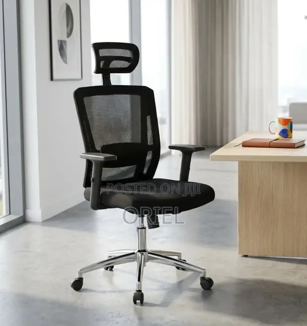 High Back Orthopedic Adjustable Office Chair - 1