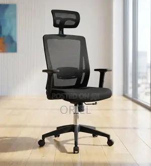 High Back Orthopedic Adjustable Office Chair