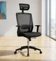 High Back Orthopedic Adjustable Office Chair - 2