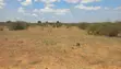 Kiwanja cha Ujenzi wa Hosteli - Kinyume na Chuo cha Ufundi Laikipia North - 4