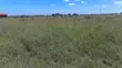 Prime 1/8 Acre Residential Plot - Joska (Nduvoini), Machakos - 1