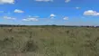 Prime 1/8 Acre Residential Plot - Joska (Nduvoini), Machakos - 3