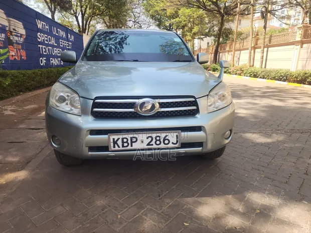 Toyota RAV4 2007 Gray - 1