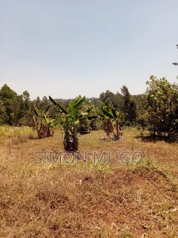 Kirwara Gatanga Prime 4.3 Acres Agricultural Land - 1