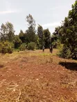 Kirwara Gatanga Prime 4.3 Acres Agricultural Land - 3