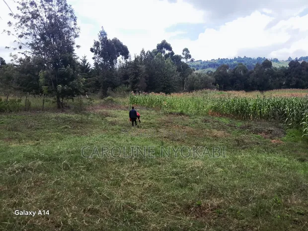 100x100 Plot for Sale in Ndeiya - 1