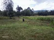 100x100 Plot for Sale in Ndeiya - 1