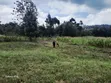 100x100 Plot for Sale in Ndeiya - 2
