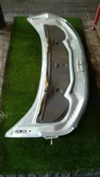Mitsubishi Delica Bonnet - 3