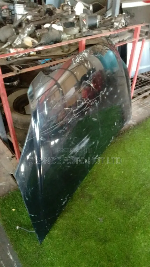 Honda Edix Bonnet - 1