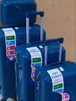 4-in-1 Luxurious Suitcase Set - 2