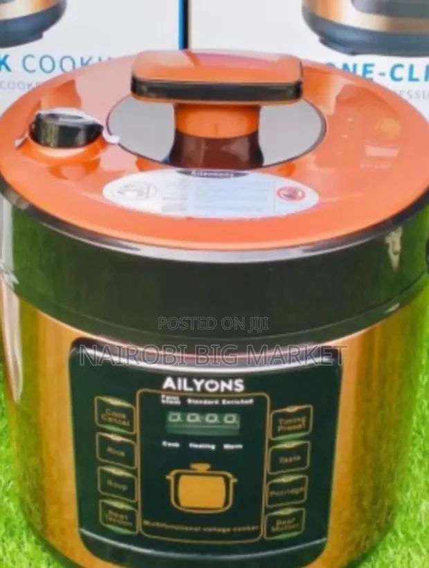 Ailyons 6L Pressure Cooker - 1