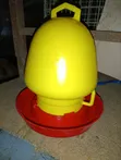 3L Portable Poultry Drinker - Yellow Top - 1