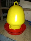 3L Portable Poultry Drinker - Yellow Top - 3