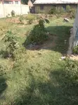 0.043 HA Land for Sale in Ahero - 2