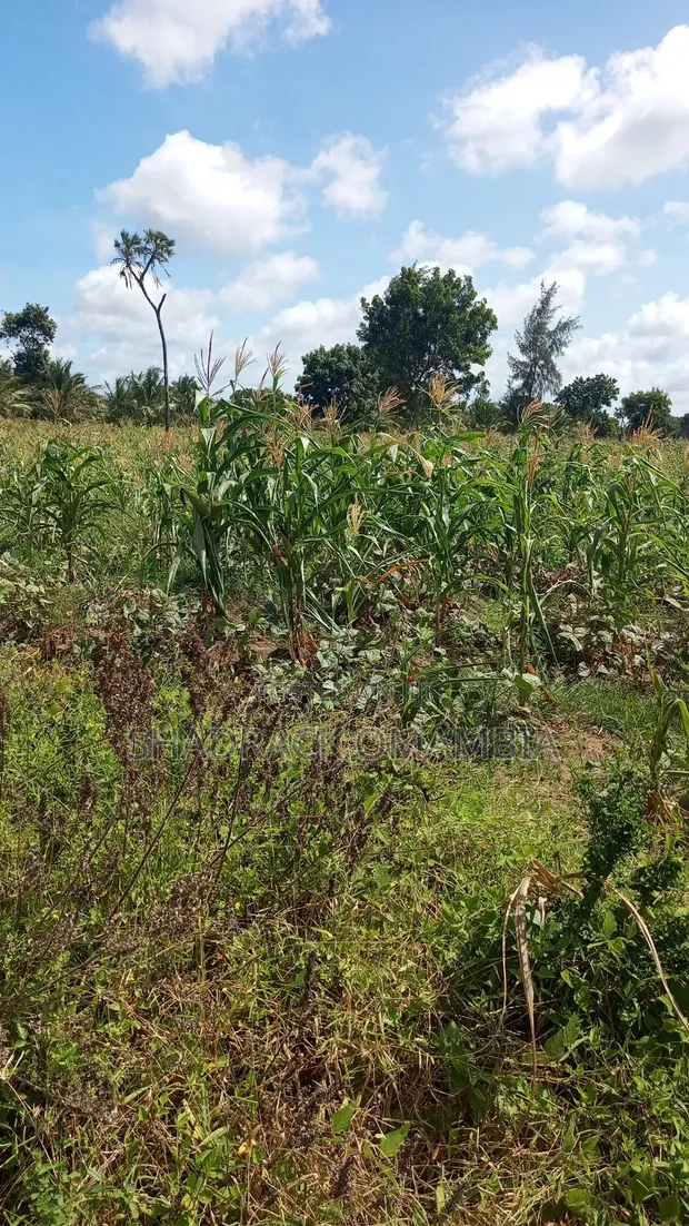 2 Acres Shamba for Sale in Bahari - 1