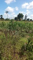 2 Acres Shamba for Sale in Bahari - 1