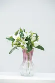 20cm Tall 800ml Glass Flower Vase - 1
