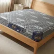 Johari 8 Inch Fibre Mattress - 5x6 - 1