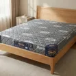 Johari Fibre Mattress - 5x6 Feet, 8 Inch - 1