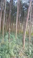 Commercial Land for Sale in Isukha North - 1