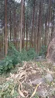 Commercial Land for Sale in Isukha North - 4