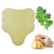 Pain Free Wormwood Cervical Paste Patch - 2