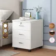 Minimalist Wooden Multi-Purpose Cabinet with Lock and Wheels - 4