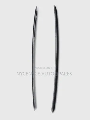 Toyota Voxy/Noah New Model Roof Moulding