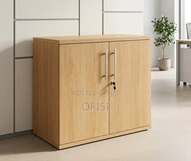 Executive Office Cupboard - 2 Door Brown - 1