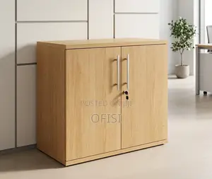 Executive Office Cupboard - 2 Door Brown