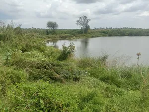 20 Acres Agricultural Land for Sale in Mgombezi, Vanga