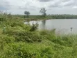 20 Acres Agricultural Land for Sale in Mgombezi, Vanga - 1