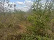 20 Acres Agricultural Land for Sale in Mgombezi, Vanga - 2