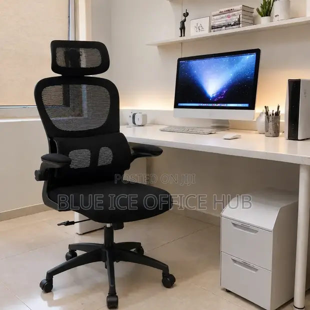 Black Mesh Ergonomic Office Chair with Headrest & Adjustable Armrests - 1