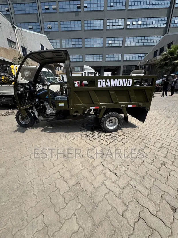 New 2026 Green 250cc Tuktuk - 1