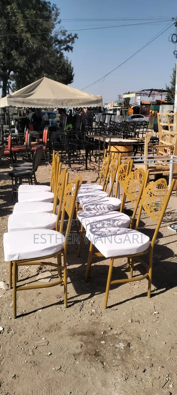 Outdoor Event Chairs - Brand New - 1