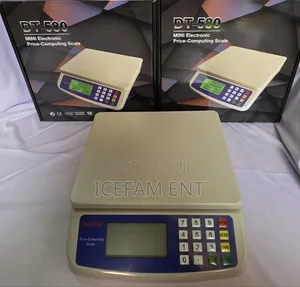 DT-580 Professional Scale (30kg)