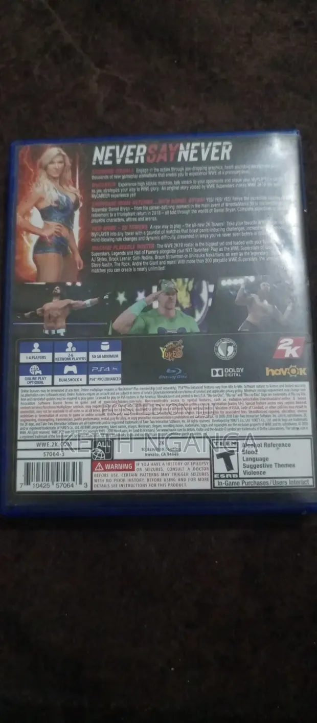Mchezo wa WWE 2K19 PS4 - 1