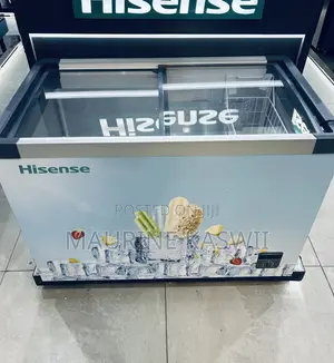 Hisense Chest Freezer FC40DD - 301L