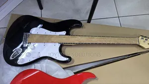 Premium Electric Guitar - Brand New