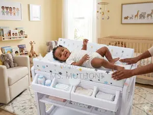 Multi-Functional Baby Changing and Bath Station