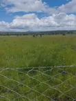 1/4 Acre Plot for Sale, Isinya - 1