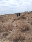 1/4 Acre Plot for Sale, Isinya - 3