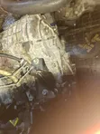 Toyota Voxy/Isis 1AZ 4WD CVT Gearbox - 1