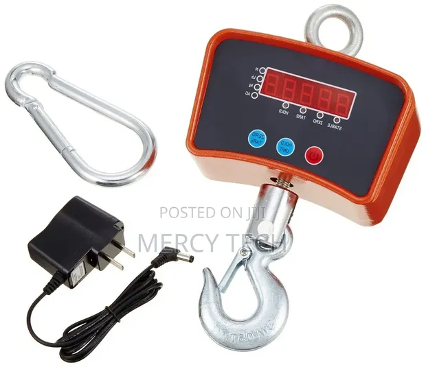 500kg Heavy-Duty Crane Scale - 1