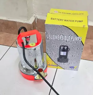 Portable Submersible Water Pump (12V DC)