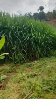 1 Acre Land for Sale in Lavington - 2