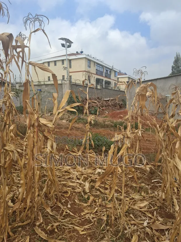 Valley View Kiambu Rd Prime 1/2 Acre Corner Plot - 1